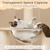 Transparent space capsule on a wooden cat tree, showcasing a cat's paws and offering a cozy resting spot.