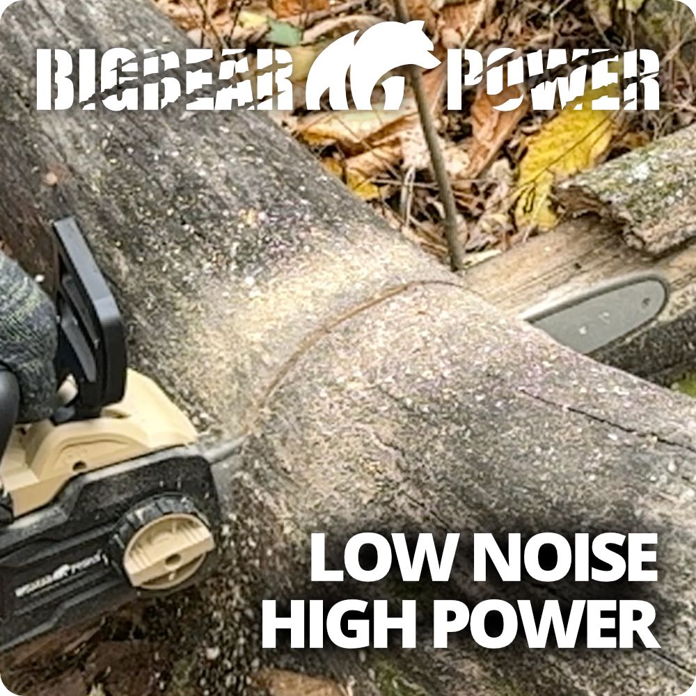 BigBear Power BB357 Electric Chainsaw Kit 16" Dual Speed 4Ah 20V New