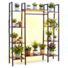 Tall 10-tier plant stand in rustic brown with 16 colors LED strip lights, perfect for displaying plants and decor.