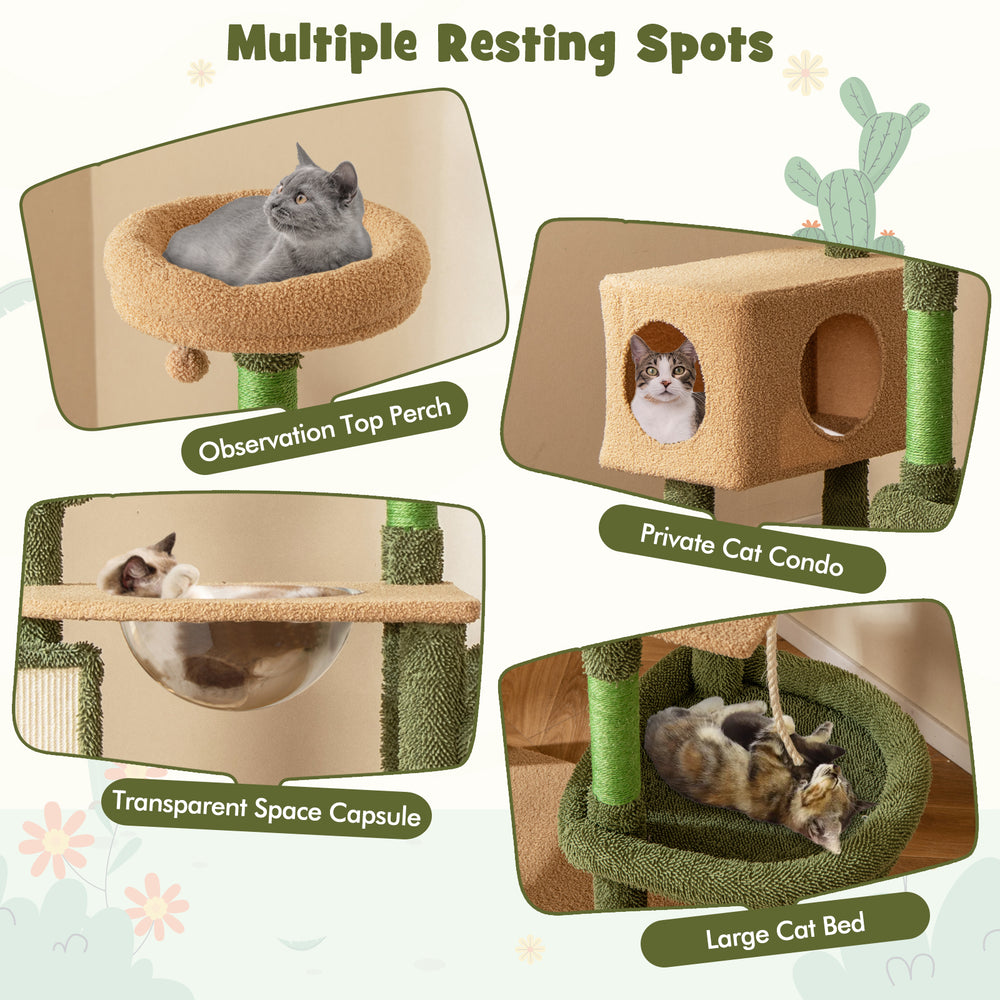Multilevel cactus cat tree featuring a large cat bed, transparent space capsule, and cozy private condo for playful.