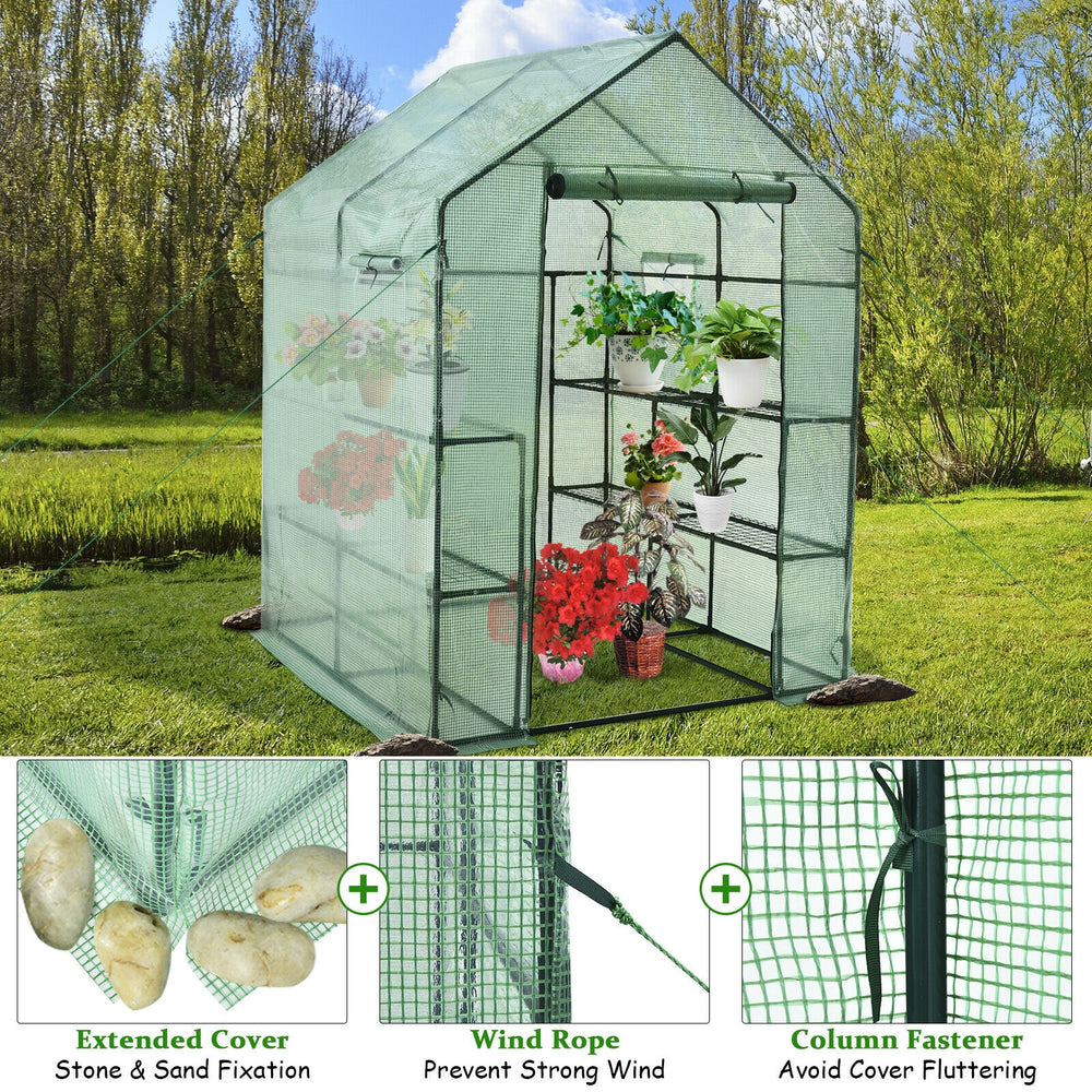 Walk-in greenhouse with observation windows, PE material, and 8 shelves for plants, ideal for gardening activities.