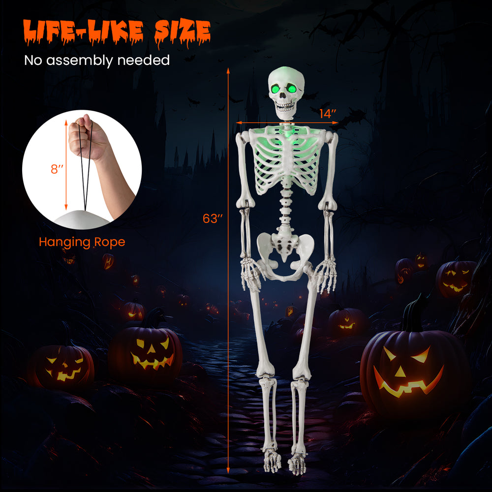 Life-size 5.5 FT Halloween skeleton with posable joints and glowing green eyes, perfect for indoor or outdoor.