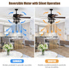 50-inch black ceiling fan with reversible blades, pull chain control, and lights, ideal for living rooms and bedrooms.
