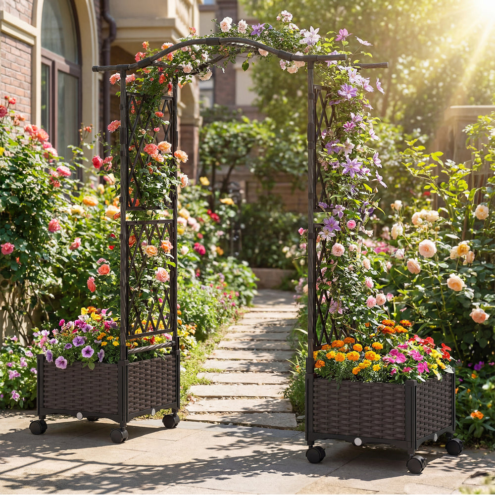 5 FT self-watering planter boxes with lattice trellis and curved roof, ideal for vibrant garden growth and easy.