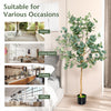 5.5 feet artificial eucalyptus tree with 517 dense leaves, perfect for enhancing living rooms, offices, or porches.