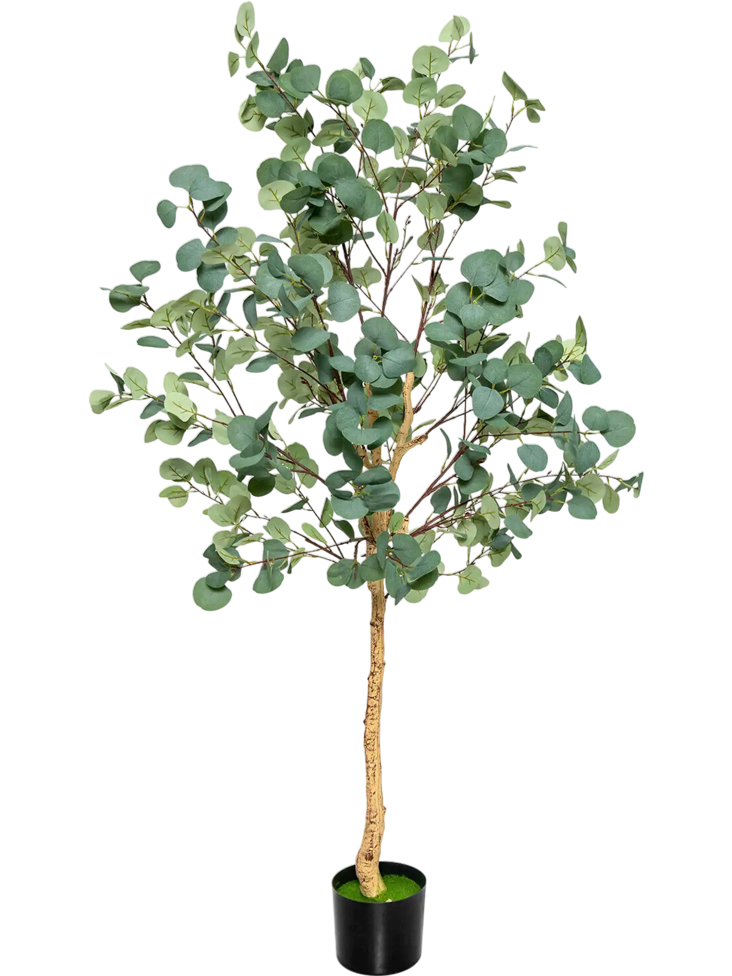 Costway 5.5' Artificial Eucalyptus Tree 517 Silver Dollar Leaves 689423751 New