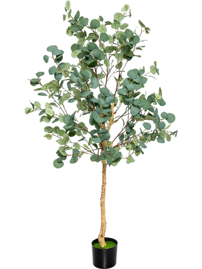Costway 5.5' Artificial Eucalyptus Tree 517 Silver Dollar Leaves 689423751 New