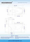 WOODBRIDGE Moder Design, Elongated One piece Toilet Dual flush 1.0/1.6 GPF,with Soft Closing Seat, white, T-0032