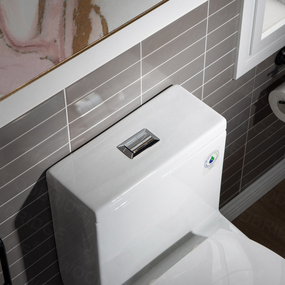 WOODBRIDGE T-0022 Luxury Toilet 1.28 GPF Elongated One Piece with Advanced Bidet Seat New