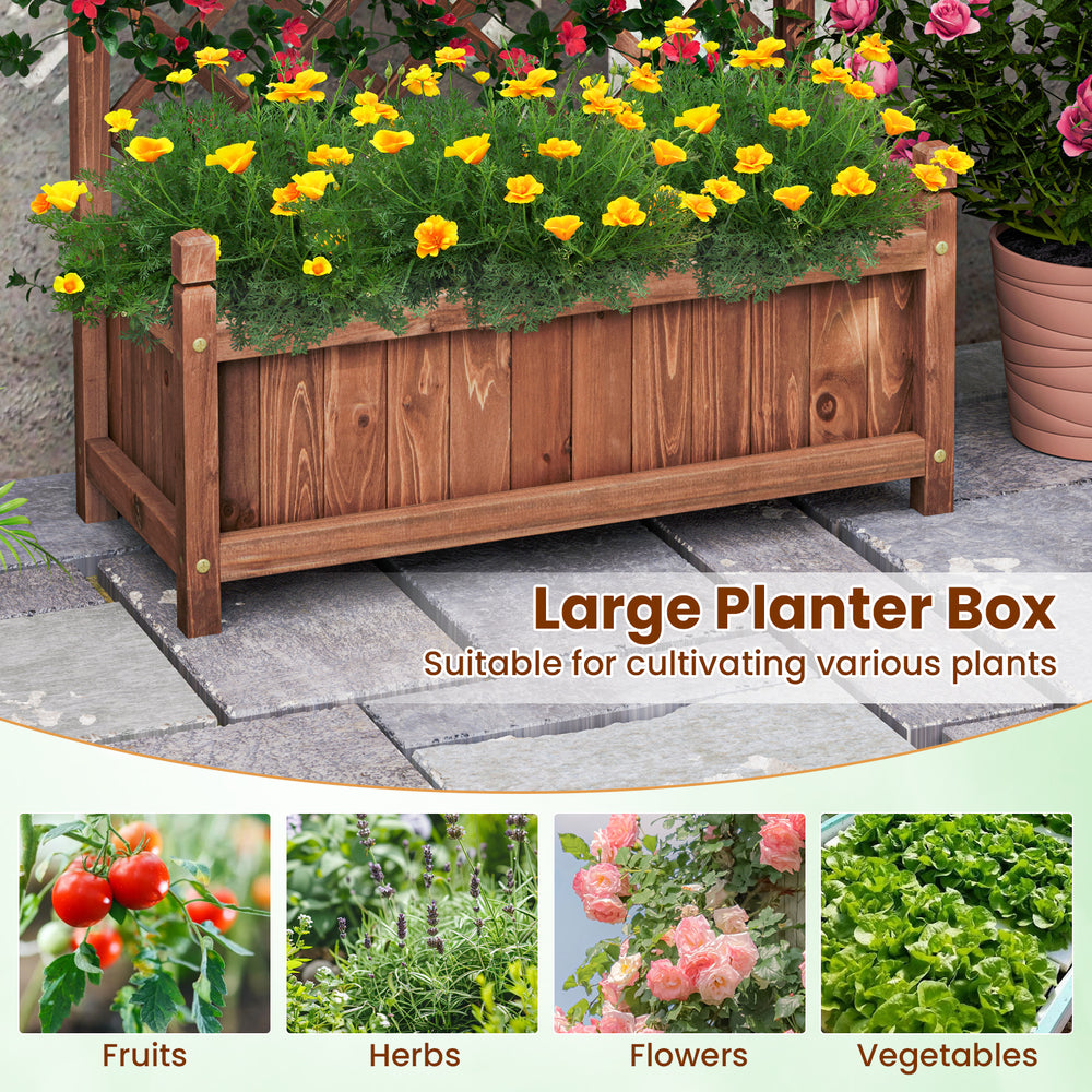 Large raised garden bed with diamond lattice trellis, crafted from sturdy fir wood, perfect for cultivating various.
