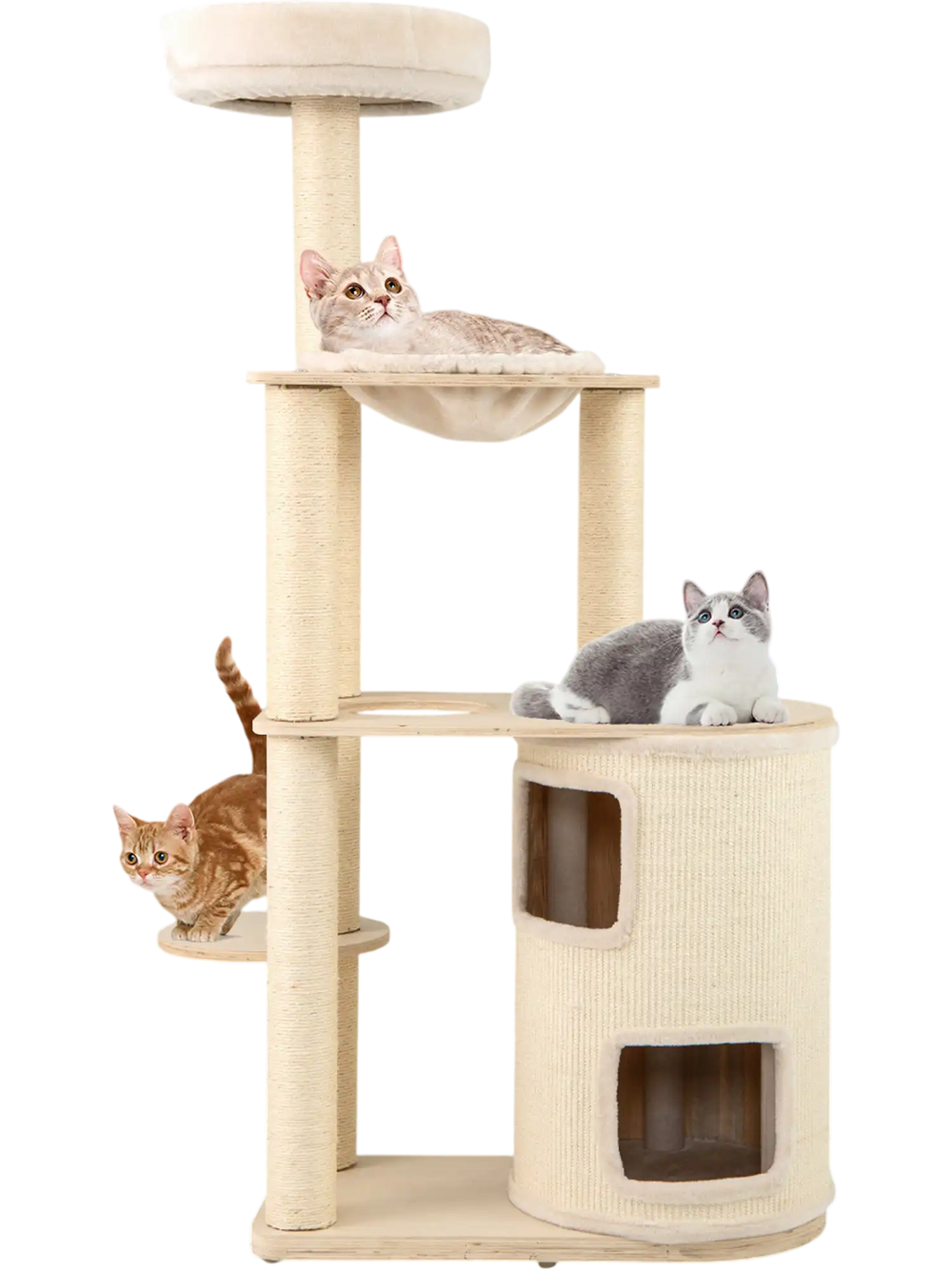 60-inch tall cat tree with 2-story condo, sisal scratching posts, and plush hammock for playful cats in a cozy living.