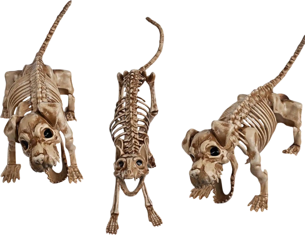 Yescom Bat Skeleton 4ct/pk New