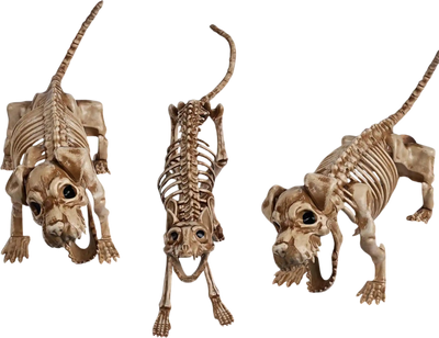 Yescom Halloween Decoration Animal Skeletons New