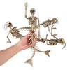 Yescom Bat Skeleton 4ct/pk New