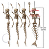Yescom Bat Skeleton 4ct/pk New