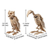 Yescom Bat Skeleton 4ct/pk New