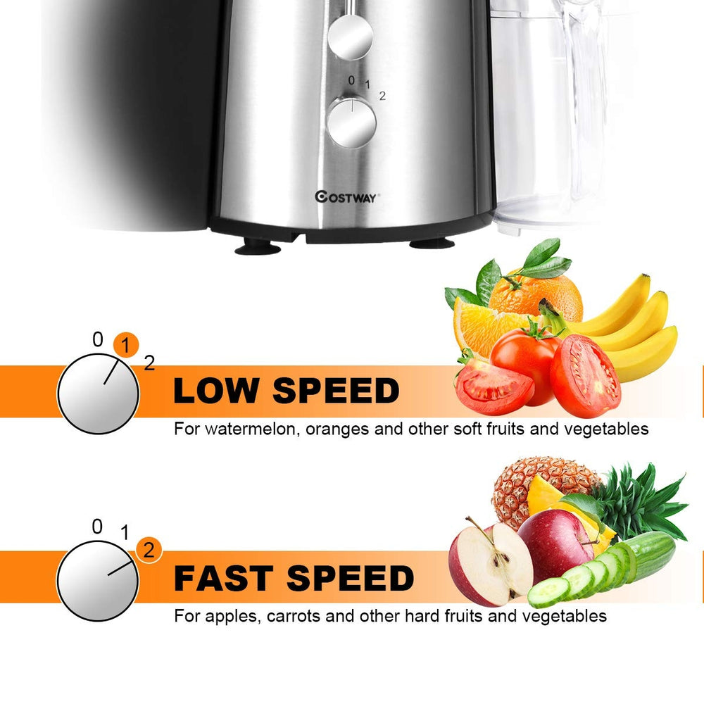 2 Speed Electric Juice Press with stainless steel design, featuring low and fast speed settings for easy fruit and.