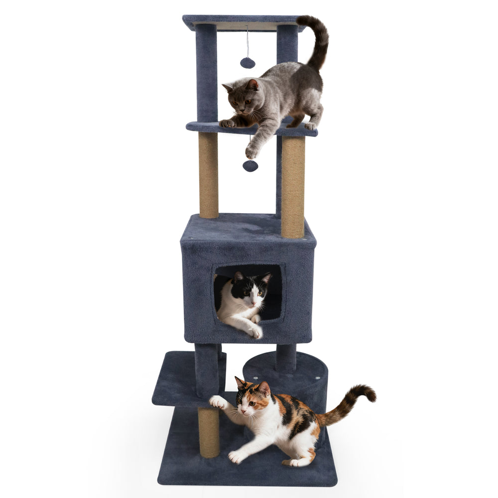 Three cats play on a 64-inch tall dark grey cat tree with condos, scratching posts, and plush dangling balls.