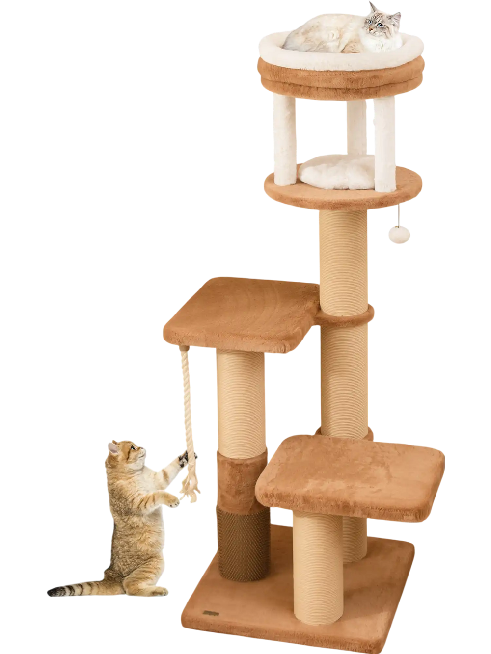 Tall 65-inch cat tree in coffee color with removable bed, self-groomer, and multiple scratching posts for feline fun.