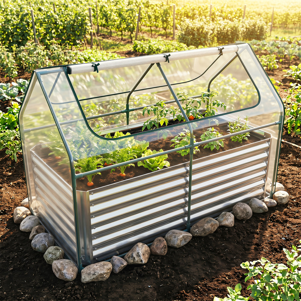 Galvanized raised garden bed with PVC cover and roll-up windows, ideal for protecting plants and extending the growing.