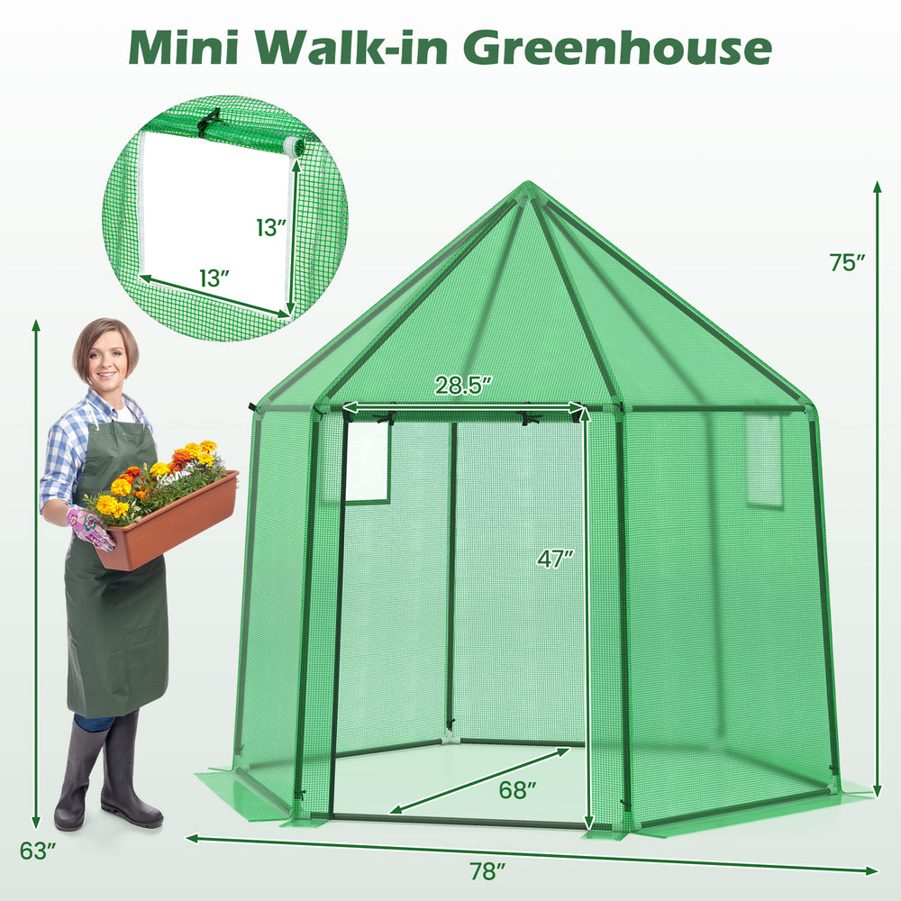 Mini walk-in greenhouse with PE cover, 6.5 x 5.6 x 6.2 FT, featuring a roll-up zippered door for easy access and.