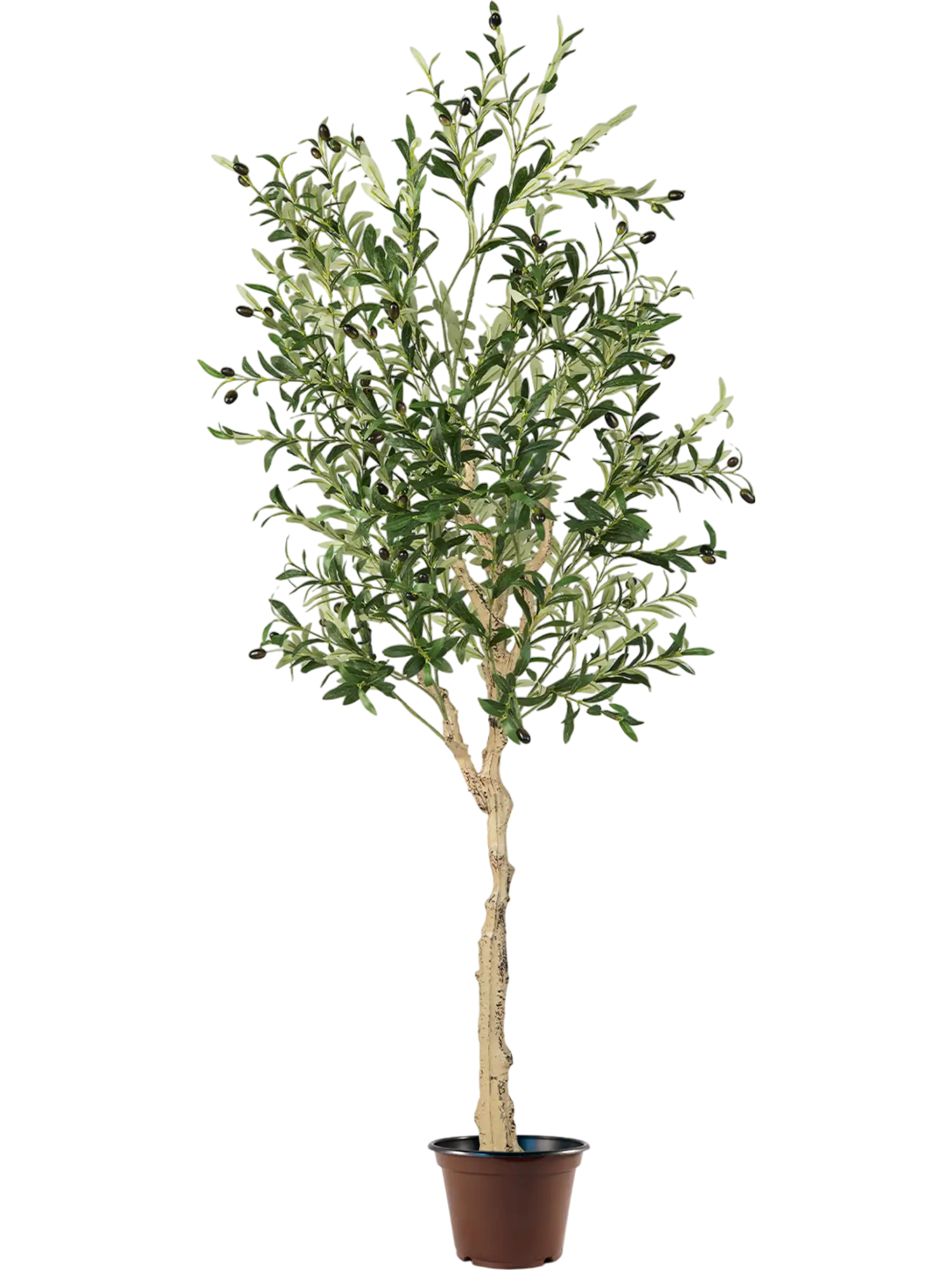 Costway 6' Artificial Olive Tree in Cement Pot 59147368 New