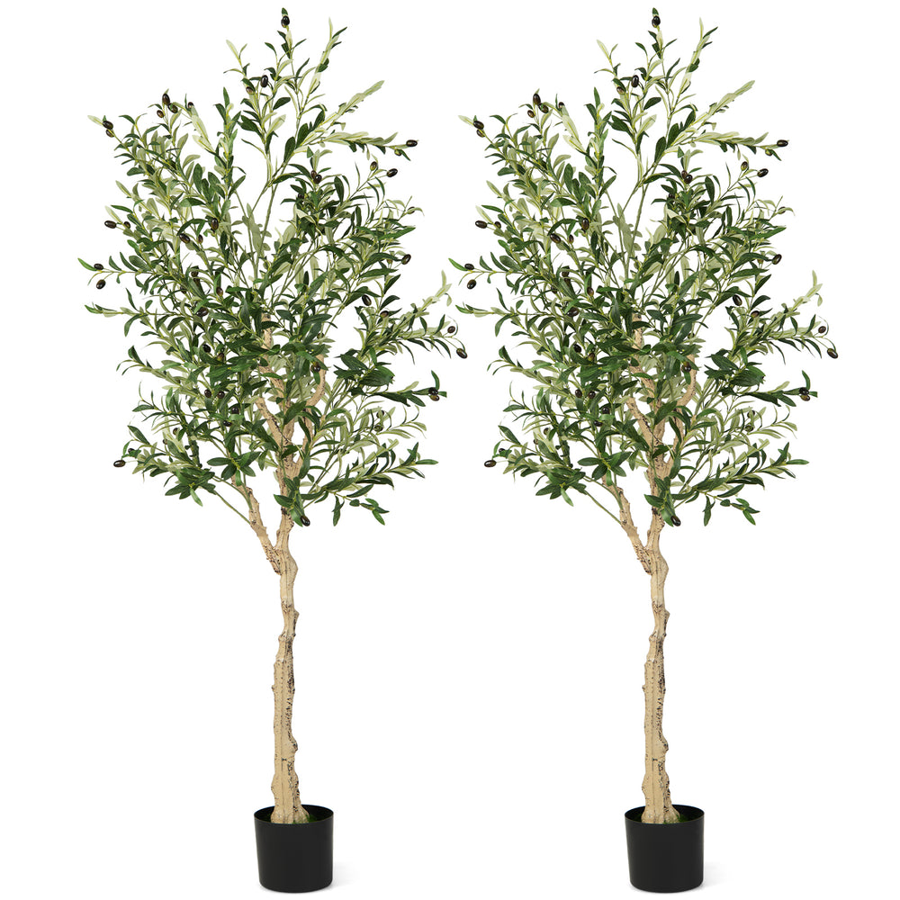 Two 6 feet artificial olive trees in cement pots, featuring 1264 leaves and 72 olive fruits for realistic indoor.