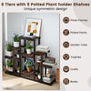 6-tier wood plant display rack made of natural pine, showcasing 9 potted plants in a unique symmetric design for.