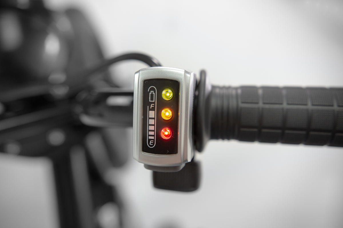 Droyd Blipper Mini EBike 24V 10Ah 250W 12.5 MPH New FactoryPure