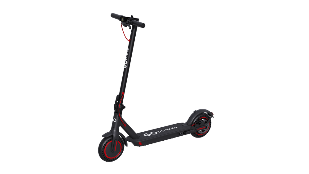 Go Zoom