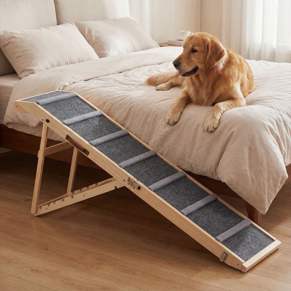 Foldable dog ramp with 6 adjustable heights, designed for high beds and couches, featuring a textured surface for grip.