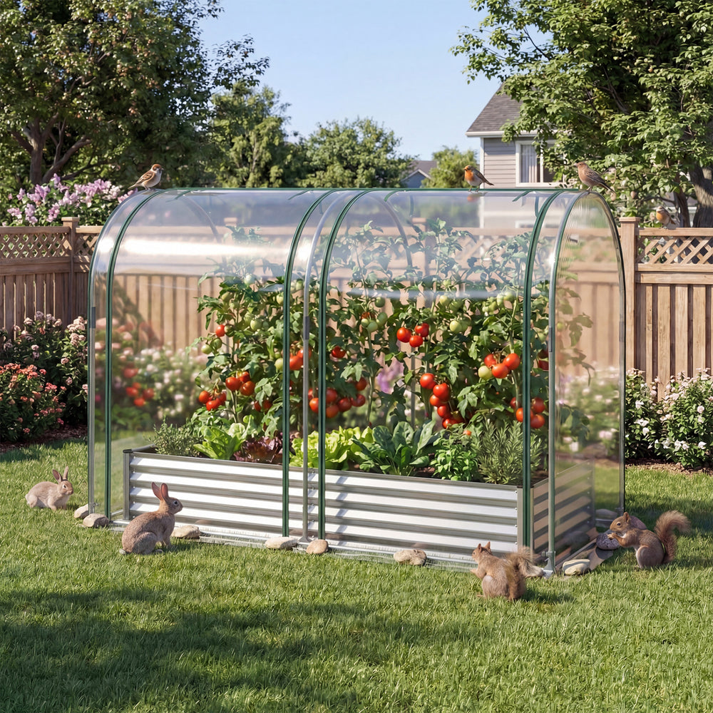 Galvanized raised garden bed with greenhouse cover, featuring clear PVC for warmth and animal protection, ideal for.