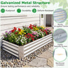 Galvanized raised garden bed with open-ended base, 6 x 3 x 1 FT, ideal for planting vegetables and flowers.