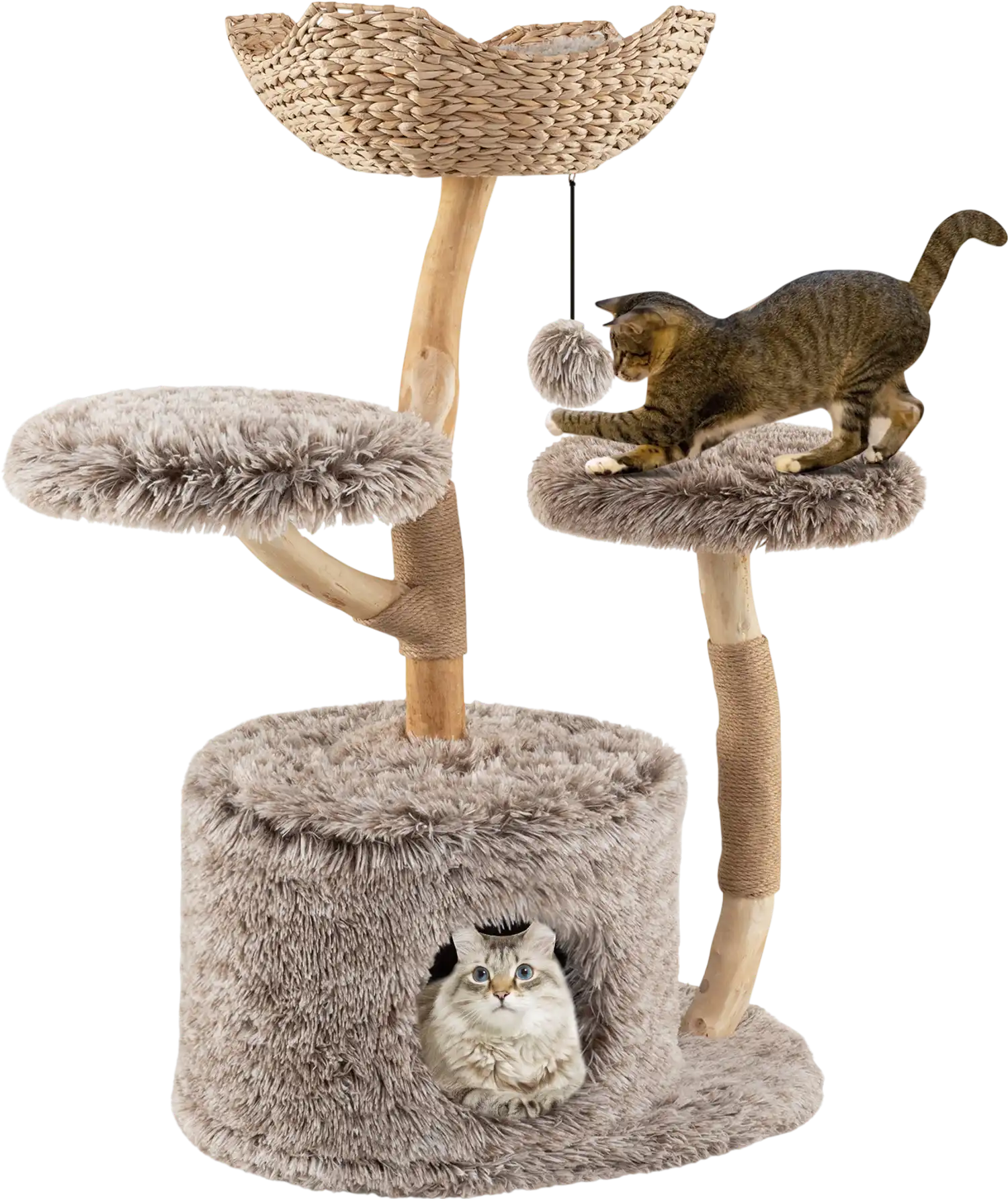 Costway Solid Pear Wood Cat Tree w/ Perch & Sisal Scratching Posts 89703612 New