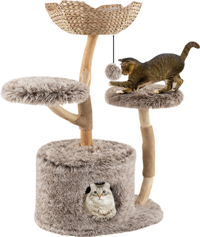 Costway Solid Pear Wood Cat Tree w/ Perch & Sisal Scratching Posts 89703612 New