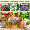 Wooden raised garden bed with lattice trellis, made from natural pine, ideal for growing flowers, herbs, and vegetables.