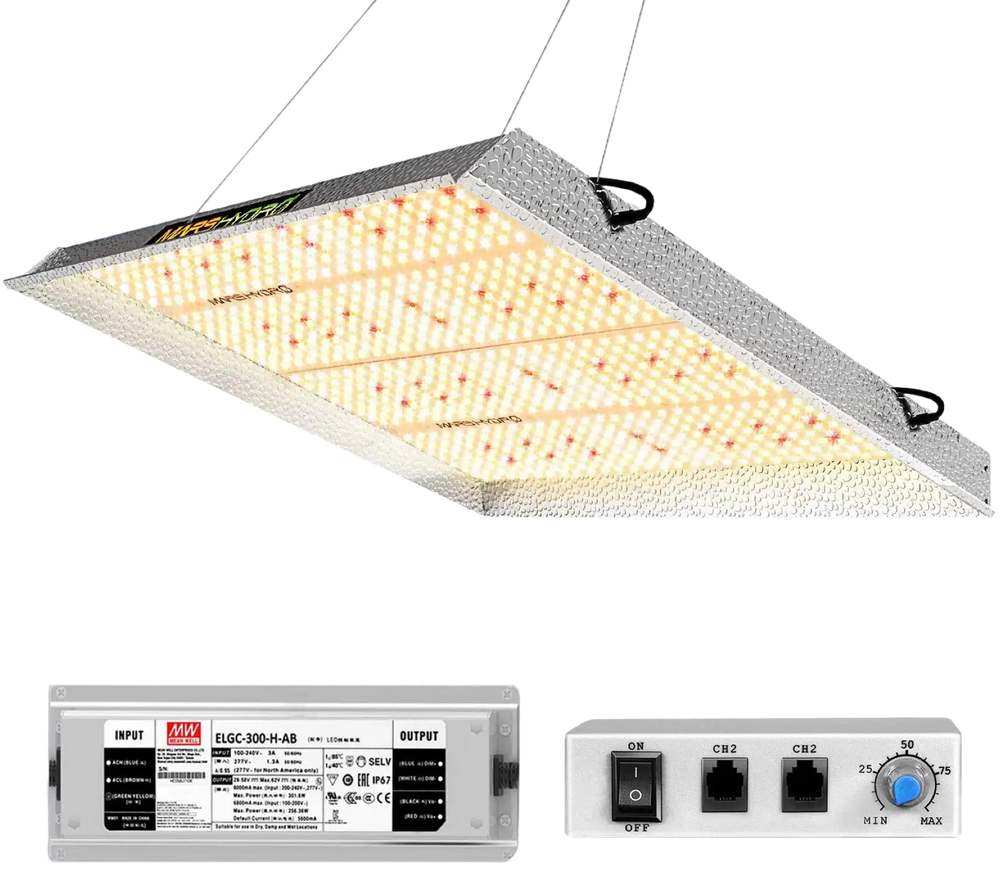 Featured image for product 4484044488786