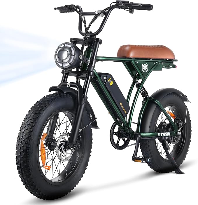 cykno electric bicycle CYKE LYNX Commuter Ebike city streets and mixed cykno... such a graceful creature!