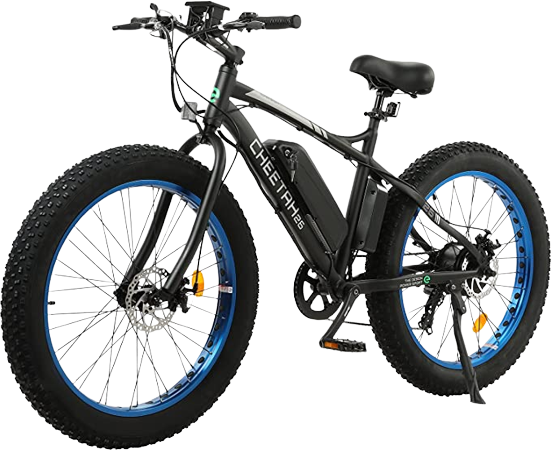 Ecotric bicycles discount