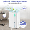 74-pint dehumidifier with LED display, 3 modes, and 1.2-gallon tank for efficient humidity removal in large rooms.