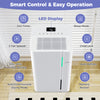 74-pint dehumidifier with LED display, 3 modes, and 2 fan speeds for efficient humidity control in large rooms.