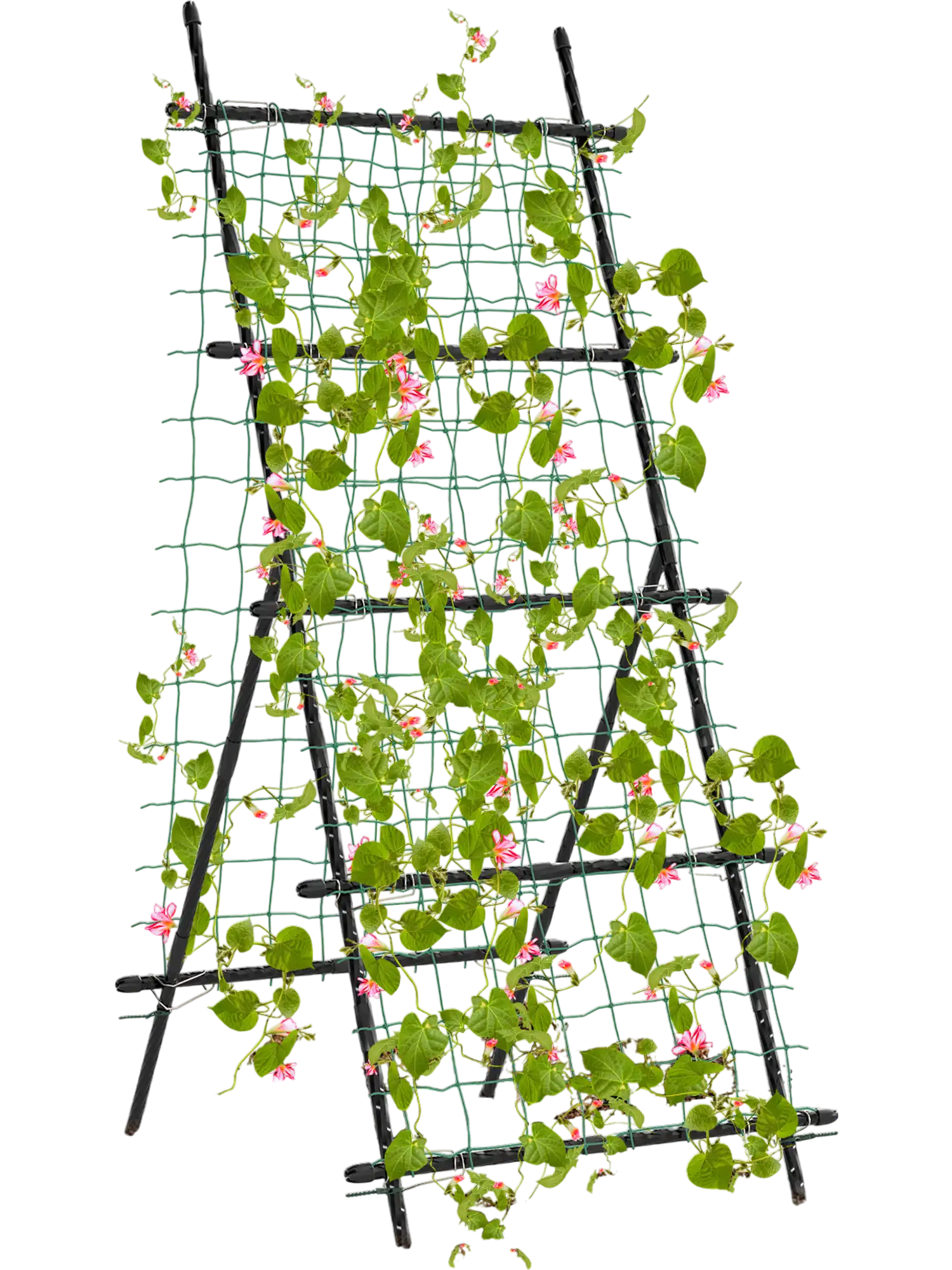 Costway Garden Cucumber Trellis PE-Coated Frame Climbing Plants 49123685 New