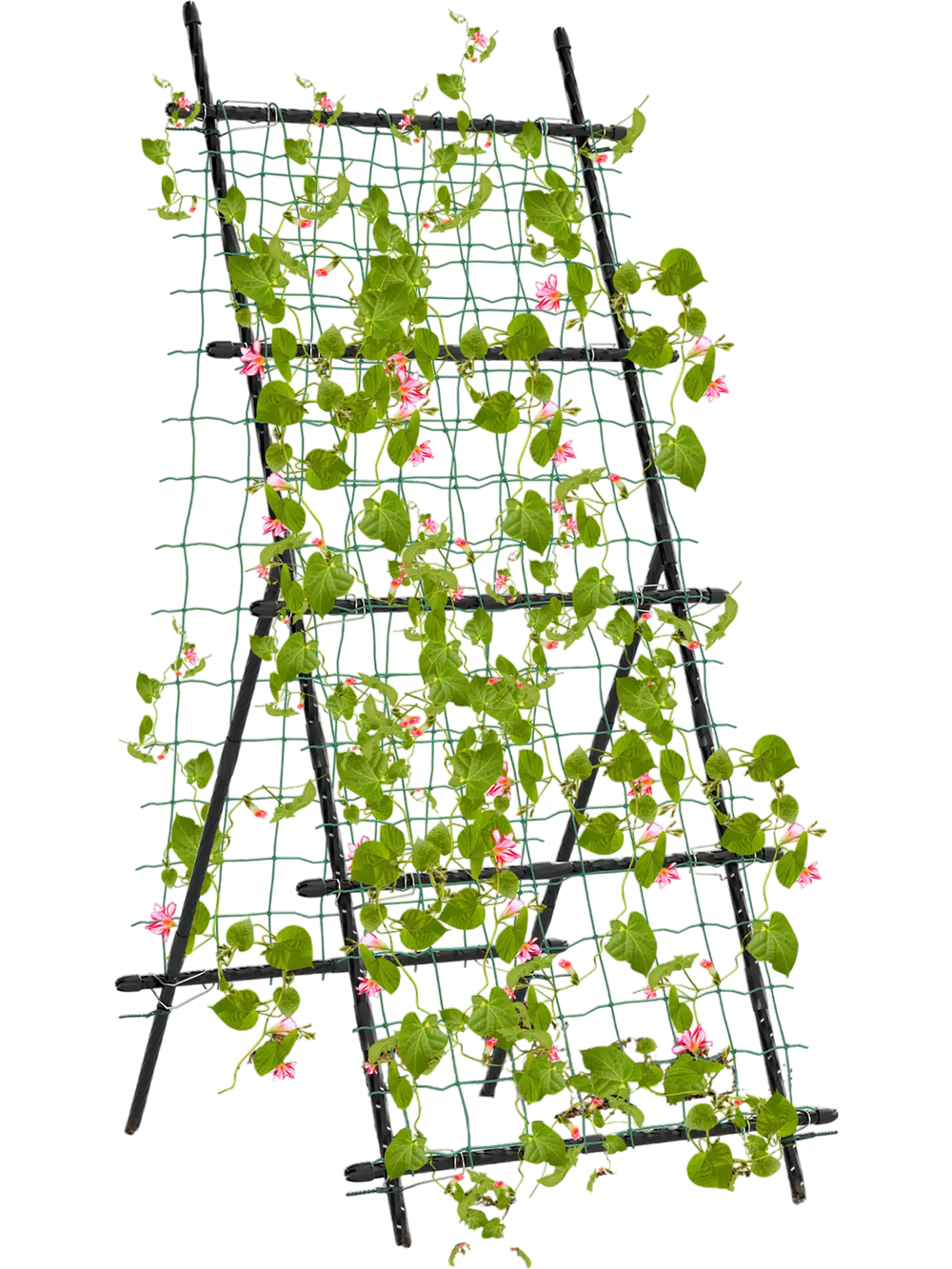 A-frame garden trellis for climbing plants, made of durable PE-coated metal, perfect for flowers and vegetables.