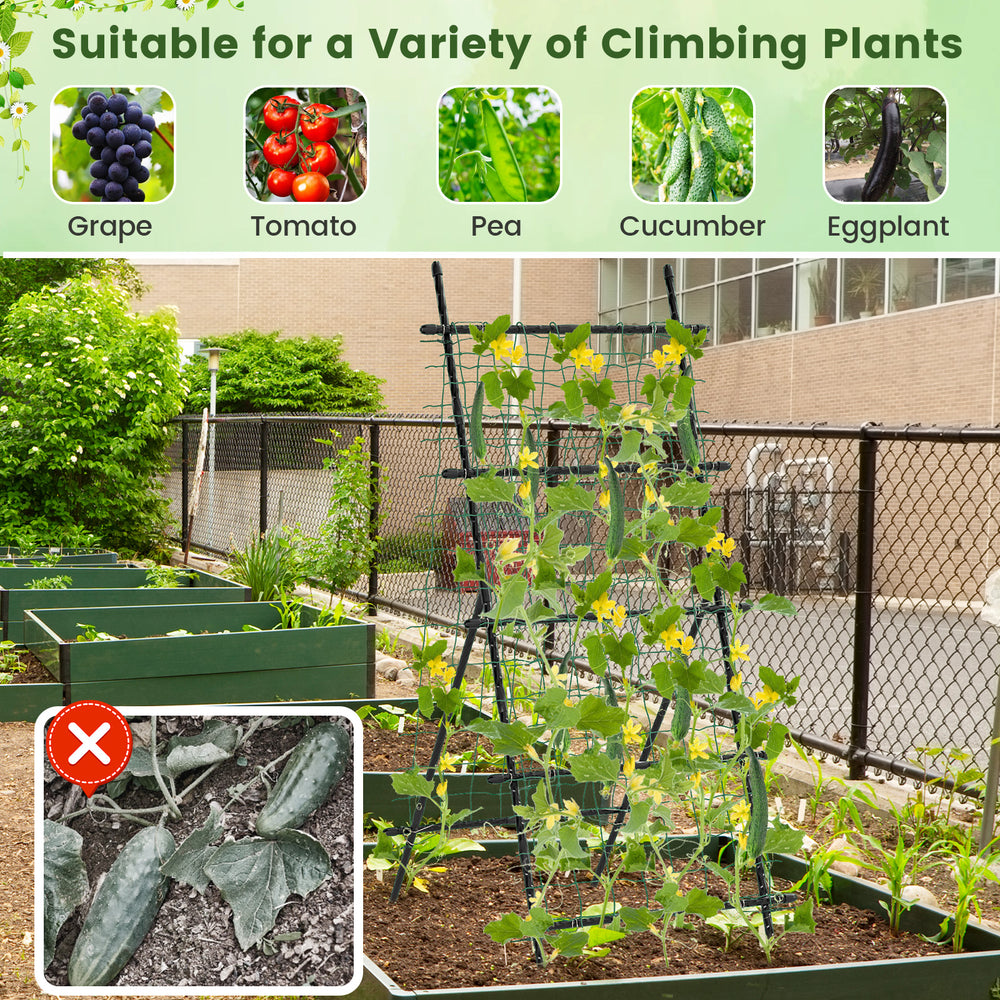 74-inch tall black garden trellis featuring an A-frame design, ideal for supporting climbing plants like cucumbers and.