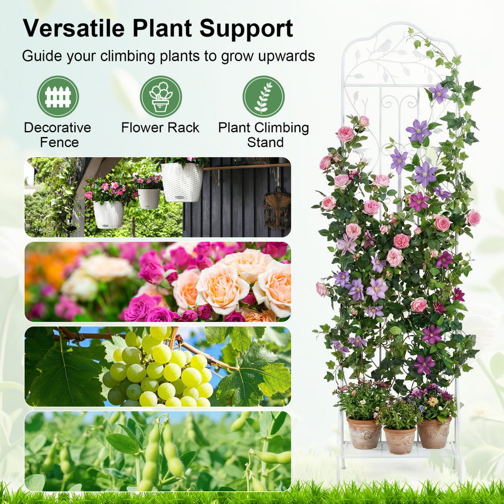 Outdoor metal garden trellis with elegant design, foldable bottom shelf, ideal for supporting climbing plants and flowers.
