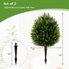Artificial cypress topiary ball tree set with ground spike, 24 inches tall, perfect for indoor and outdoor decoration.