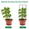 Garden trellis for climbing plants, featuring a stable iron frame and dark green finish, ideal for vertical growth.