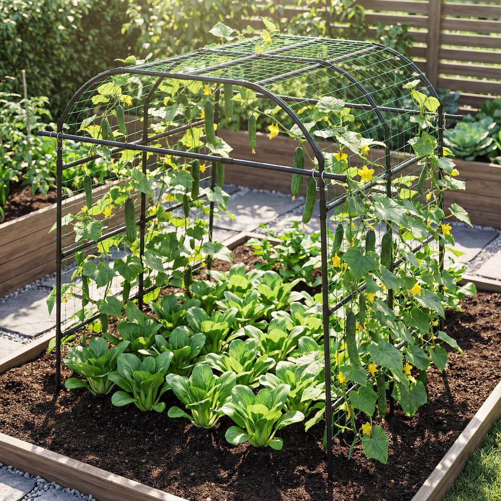 Tall black metal garden arch trellis supporting climbing plants, promoting healthy growth in a raised garden bed.