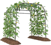 Tall black metal garden arch trellis for climbing plants, providing vertical support and promoting healthy growth.