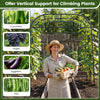 7.5 FT tall black metal garden arch trellis providing vertical support for climbing plants, ideal for healthy growth.